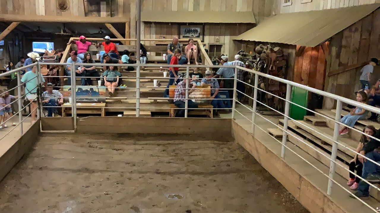 HORSE SALE 8/13/2022 YouTube