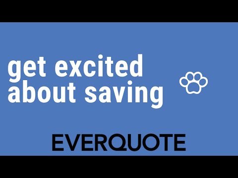 get-as-excited-as-this-ocean-loving-pup-(about-saving-on-your-insurance-plans)-|-pets-of-everquote