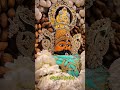 shyam baba ki Jay #shorts #shortvideos #trip #khatuwalashyam