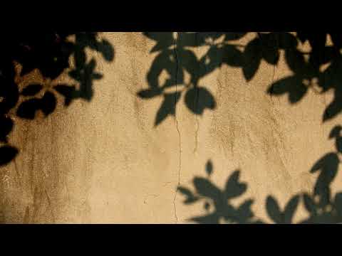 Shadow leaves