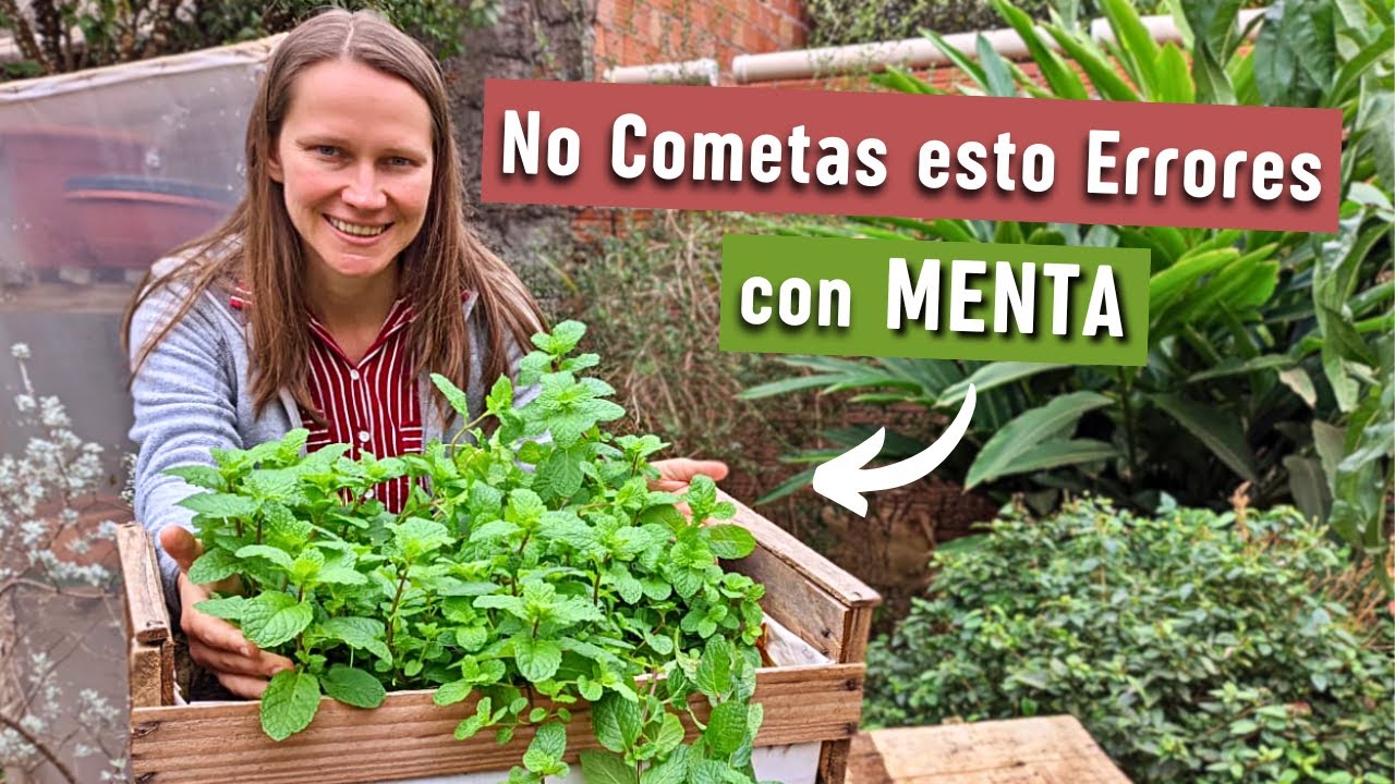 ¡Deja de Natar tu MENTA! ¡Aprende a Cultivarla y a Preparar Recetas Increíbles!