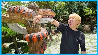 Dinosaur Museum playground for kids family fun | MariAndFriends