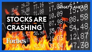 Stocks Are Crashing For These Two Reasons - Steve Forbes | What's Ahead | Forbes