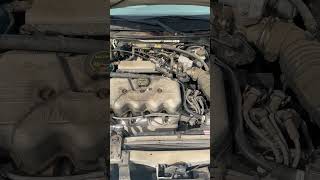 IMG 0815