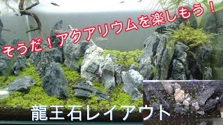 [アクアリウム]キューバパールグラスと龍王石を使ったレイアウト