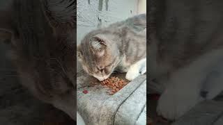 Hayat Paylaştıkça Çoğalır