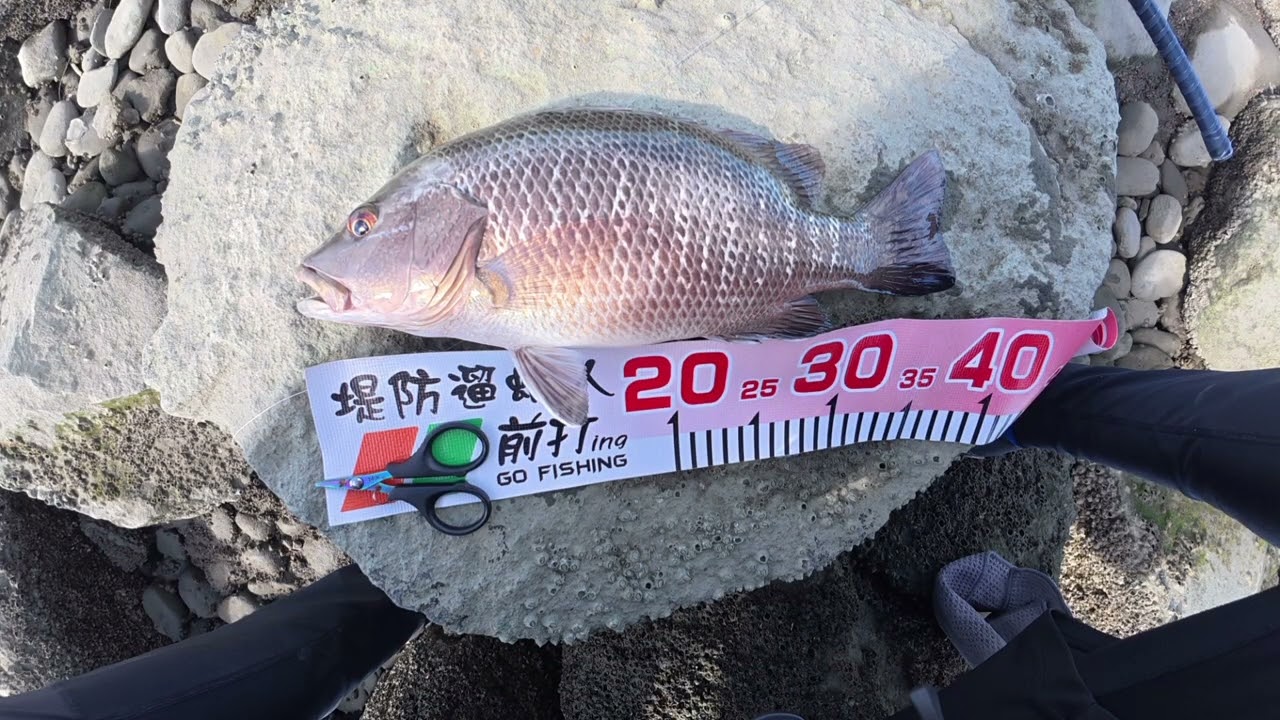 2025/08/14 前打釣遊