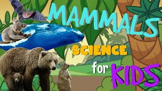 Mammals | Science for Kids