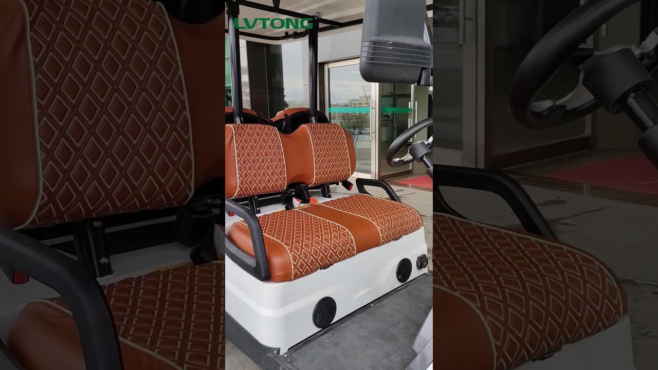 4 Seats Lvtong Golf Cart on Sale with Customizable Leather Seat 