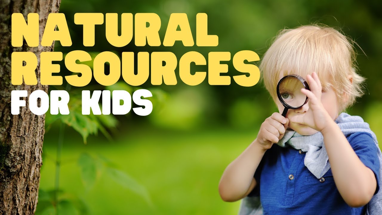 Nature - Vocabulary 1° / 2° Free Activities online for kids in 1st