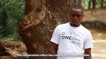 P2P exchange learning film