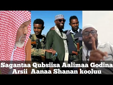 Sagantaa Qubsiisa Aalimaa Godina Arsii Aanaa Shanan Kooluu January 21 2024
