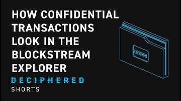 How a Confidential Transaction Looks on the Block Explorer