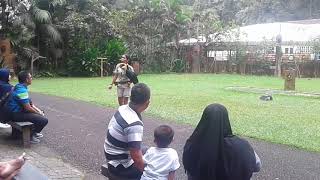 Atraksi burung elang Taman safari bogor