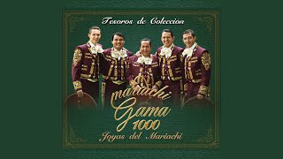 Video voorbeeld van "Mariachi Gama 1000 - No Sé Tú"