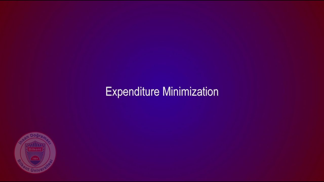 Microeconomics Theory I - Lecture 18 (ECON - 203)