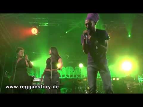 Cali P - 1/2 - Healing Of The Nation + Solution - Reggae Jam 2015