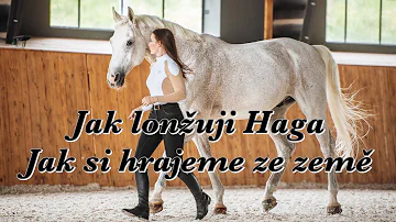 Co znamená runa?