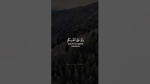 القارئ #سعد_الغامدي #سورة_النساء #القرآن_الكريم