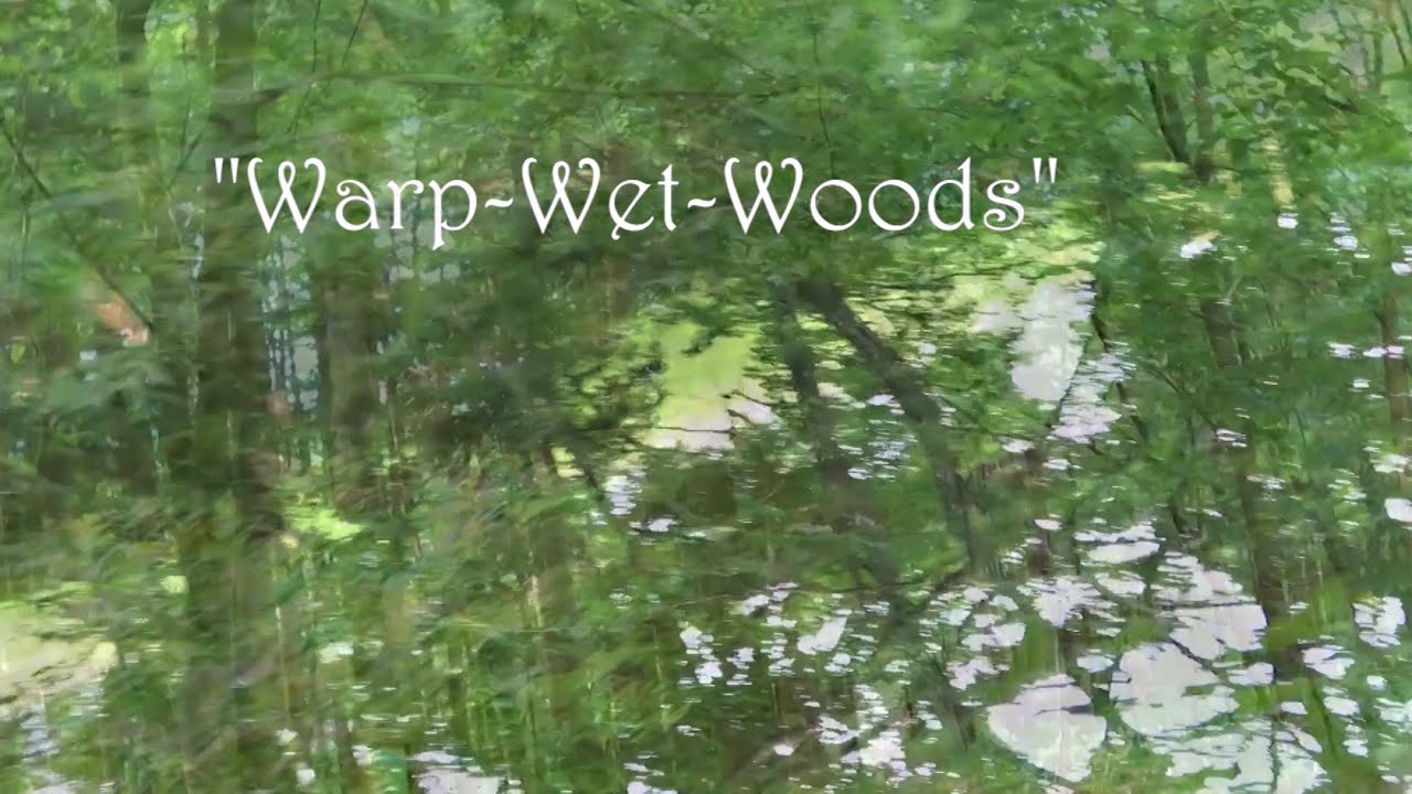 The Sleepwalk recent info 202208 - YouTube