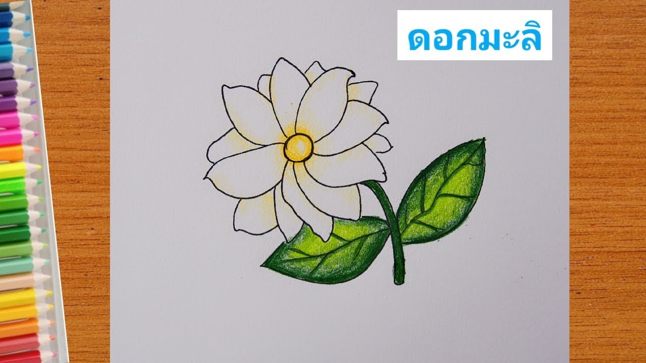 สอนวาดรูปดอกมะลิ ง่ายๆ | วันแม่ | How to Draw Jasmine Flowers for Beginners