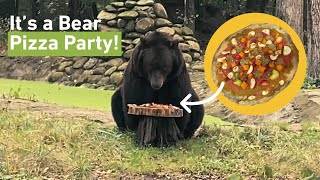 Rescued Bears Have a Pizza Party at BEAR SANCTUARY Domazhyr | FOUR PAWS |