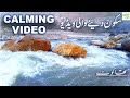 Mountain river relaxing  asmr for sleep  calming with river sound