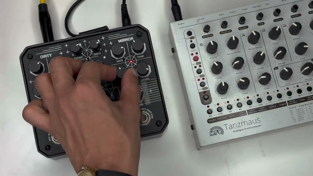 Animal Factory Dirty Mirror Fuzz on MFB Tanzmaus | Dual Distortion
