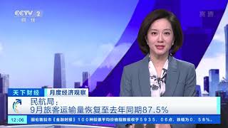 月度经济观察 9月份居民消费价格指数同比上涨1.7% 工业生产者出厂价格指数同比下降2.1% 「财经资讯」 20201015| CCTV财经