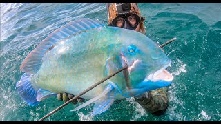 COASTAL SPEARFISHING in AUSTRALIA || Hand grabbing 2 crayfish in one breath!