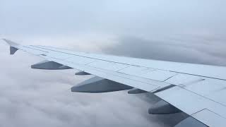 IMG 6553