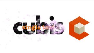 Cubis presents the Text Chart extension for SAP Design Studio