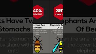 Comparison Animals Facts You Don't Know Wealth