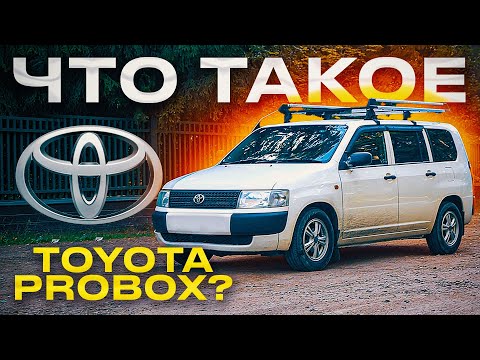Тойота Пробокс - в чем суть автомобиля?