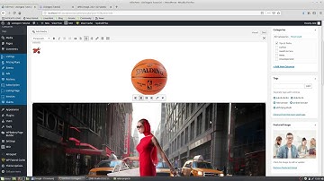 set a Wordpress Blog post Image size