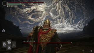 Elden Ring: Malenia vs Blades of Chaos