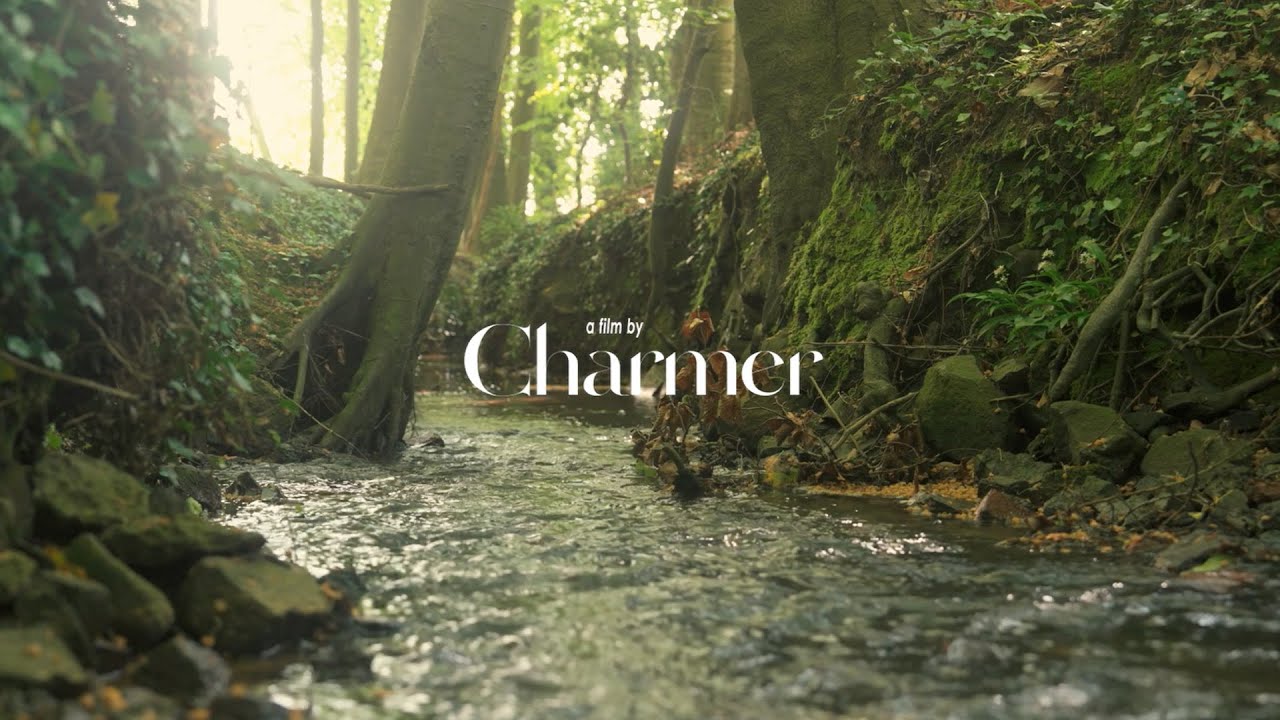 Enchanting Farmhouse in Rural Brakel: A Peaceful Retreat with Forest and Stream