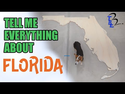 All Things Florida (Marble Machine)