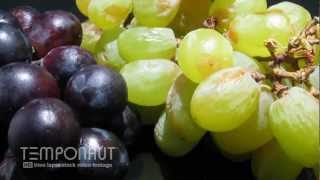 Grapes To Raisins - Rotting Fruit Time-Lapse - HD Video