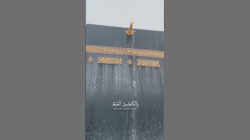 {الَّذِينَ يُنفِقُونَ فِي السَّرَّاءِ وَالضَّرَّاءِ}| القارئ محمد اللحيدان🌧