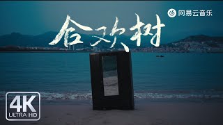 Dasang Gyatso - Albizia Julibrissin#New-song-update #Popular-music #Singer-single #Playlist
