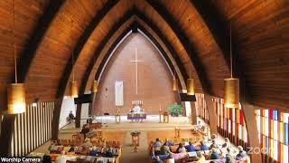 From Doubt to Belief: Christ's Wounds and Peace