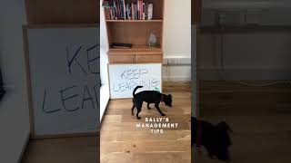 🚀 Keep Learning - Sally's Management Tip