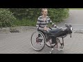 Pretty british woman crippled by an accident changing wheelchairs