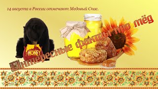 Интересные факты про мед.