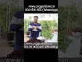 Cocopeat Uses 2