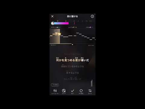 声変わりした男による　　　　　「夜に駆ける」　キー＋２