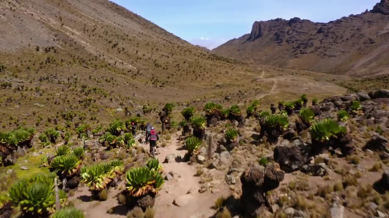 best places to get bikes