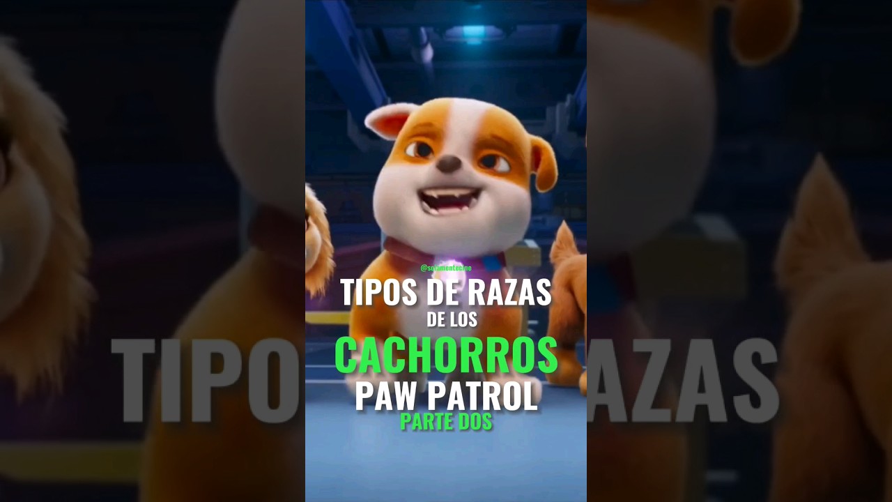 De qué raza son los perros de La Patrulla Canina? - Etapa Infantil