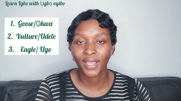 Igbo Vocabulary | Learn Igbo with Ụgbọ oyibo